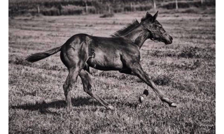 Ma détox n'est ni un régime, ni une cure miracle