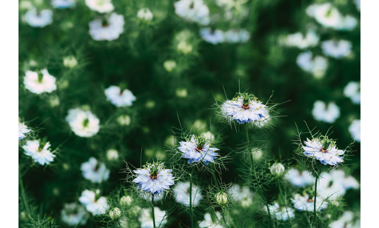 Rencontre Pierre Haddad