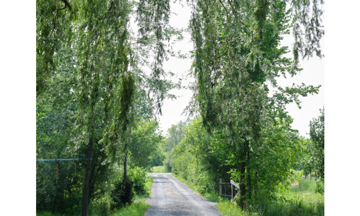 Mindset pour intégrer un changement durable selon les neurosciences