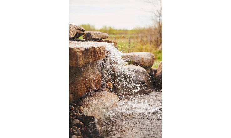 L’importance du magnésium; les différentes formes à privilégier et la qualité à surveiller!
