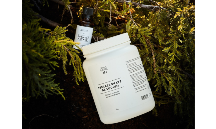 Lettre de Jacynthe - 11 novembre 2024