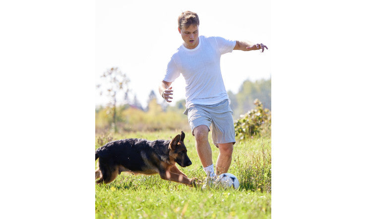 B9, nutriment essentiel?