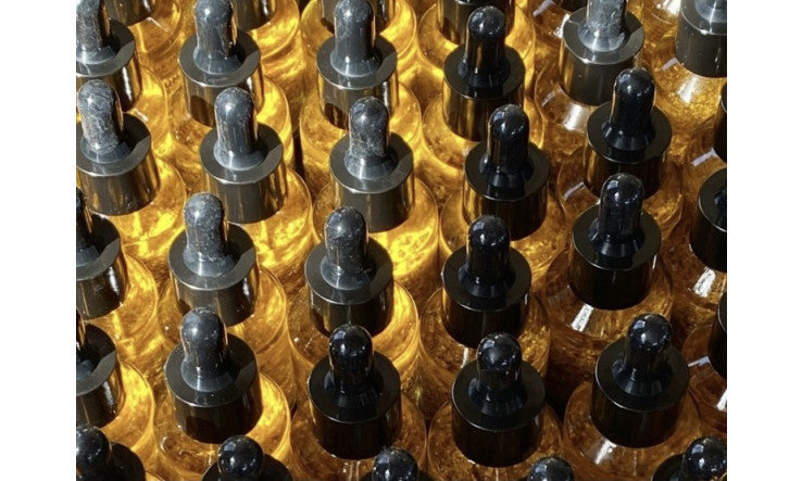 Lettre de Jacynthe, 11 décembre