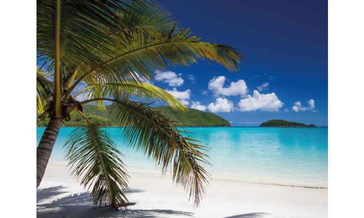 Trousse d’huiles essentielles indispensable pour un voyage au soleil cet hiver!