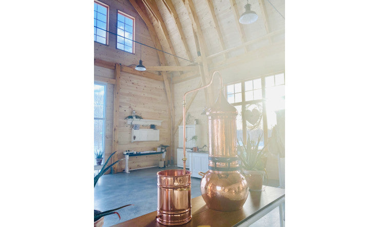 La magie des huiles essentielles