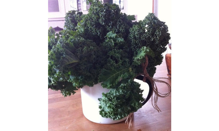 Rendre notre alimentation plus végétarien si on a la maladie Biermer