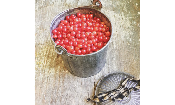 Le sucre: bon ou mauvais?