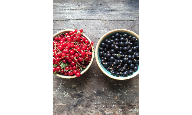 La santé est-elle dans votre assiette?