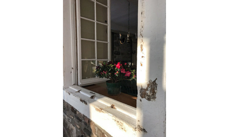 Renaître de ses cendres