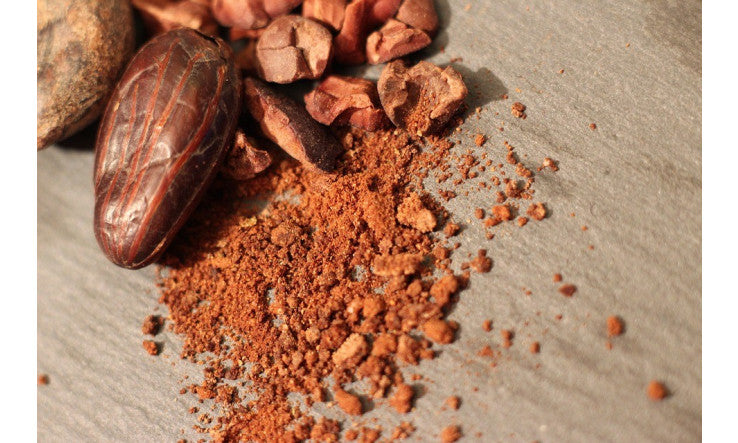Cacao - Études et bienfaits pour la peau