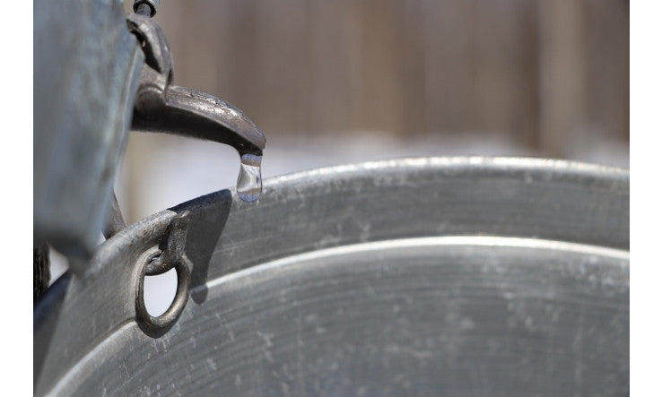 L'eau d'érable