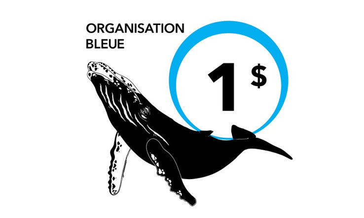Notre partenariat avec l'Organisation Bleue