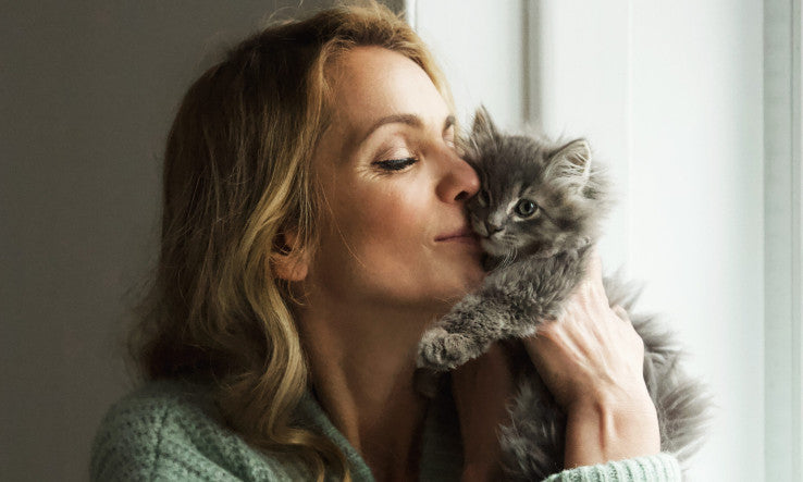 Ateliers euphorisants