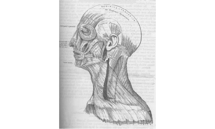 Massage antiâge pour les rides