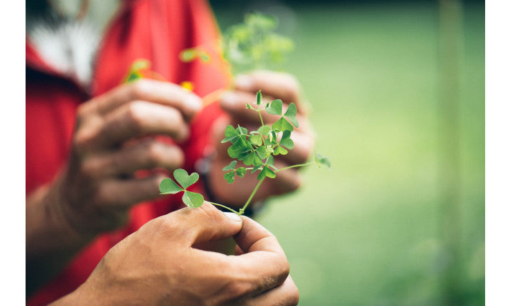 Réaliser ses teintures mères
