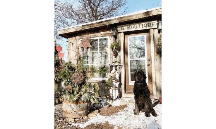 Baume à pattes MJ TOUTOU