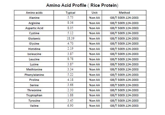 Fermented brown rice protein - Unflavored