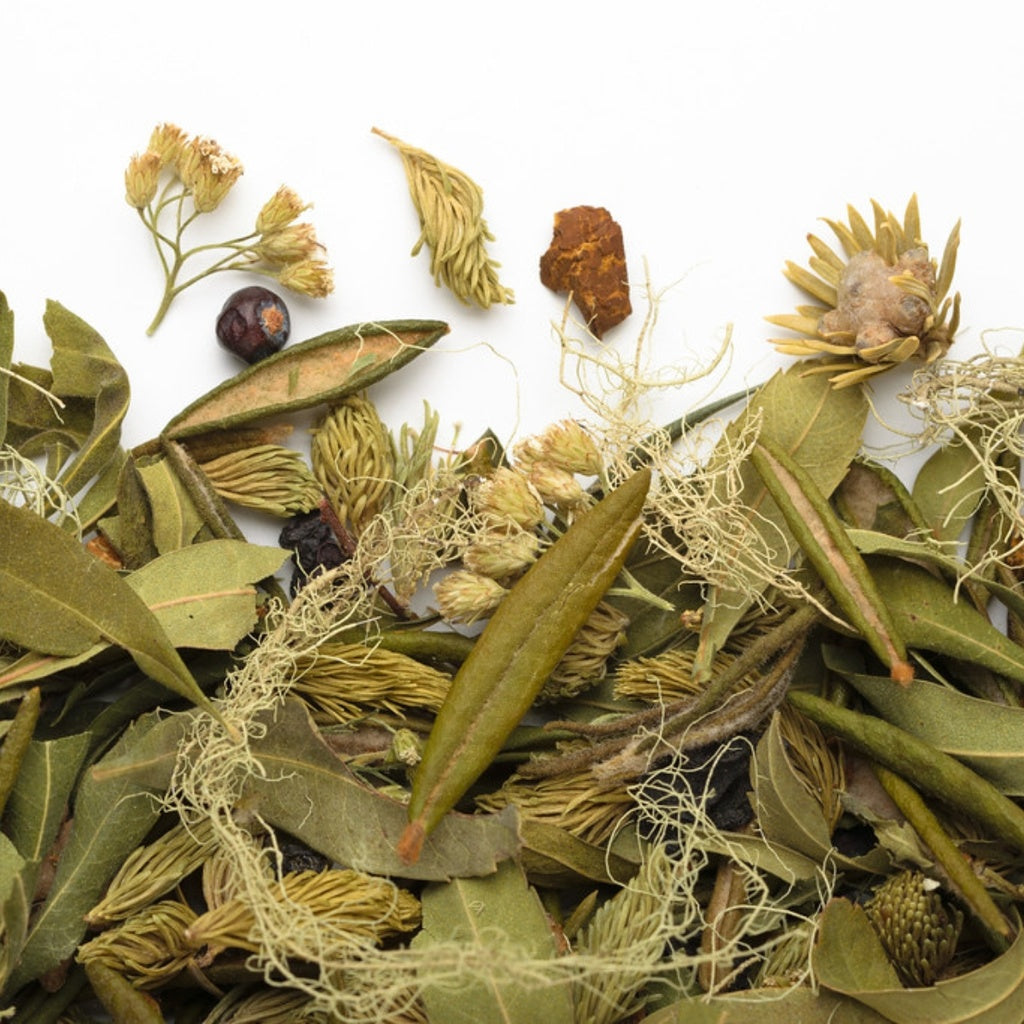 La Taïga sauvage 20g