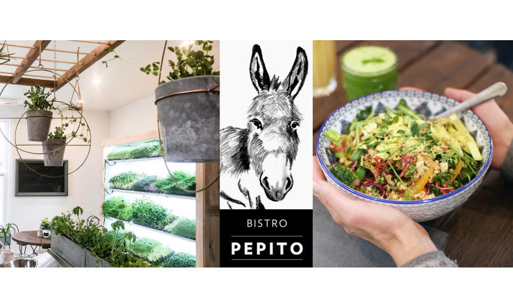 Dernières nouvelles réconfortantes