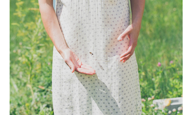 La flore bactérienne intestinale des abeilles affectée par le glyphosate