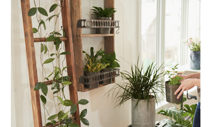 Les champs électromagnétiques