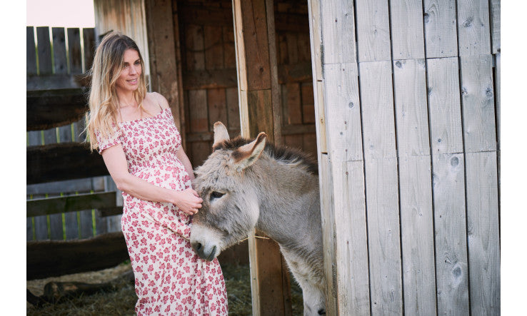 Vive Web – Deuxième saison