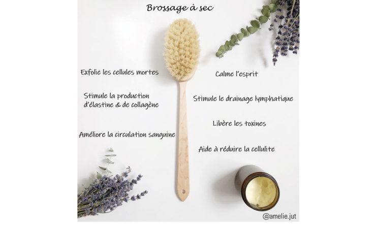 Le brossage à sec de la peau