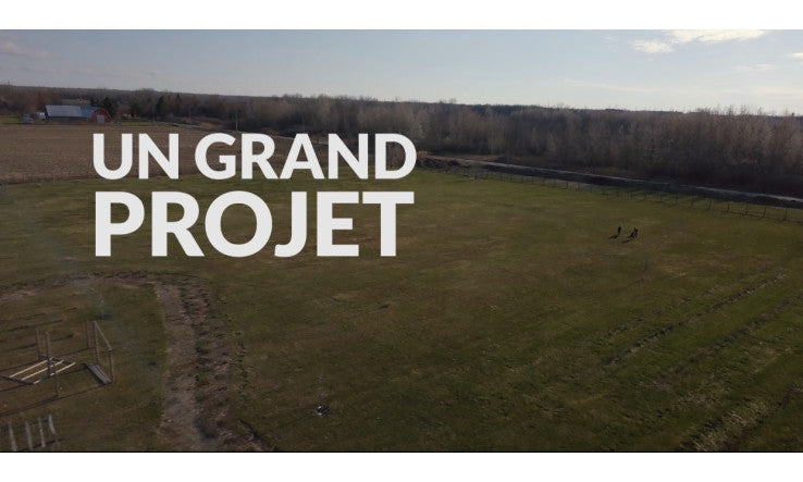Aperçu de notre grand projet!
