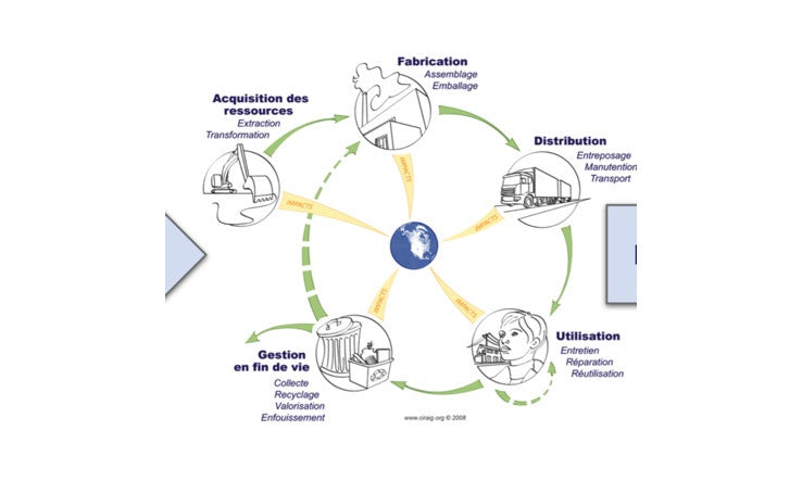 REVUE DE LITTÉRATURE DE LA PERFORMANCE ENVIRONNEMENTALE DES MATÉRIAUX COMPOSANT LES BOUTEILLES DE JUS