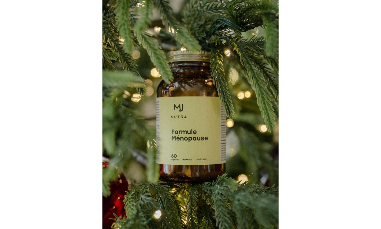 Lettre de Jacynthe - 17 novembre 2025