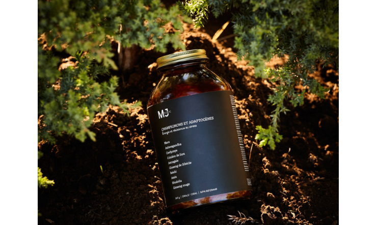 Lettre de Jacynthe - 7 novembre 2024