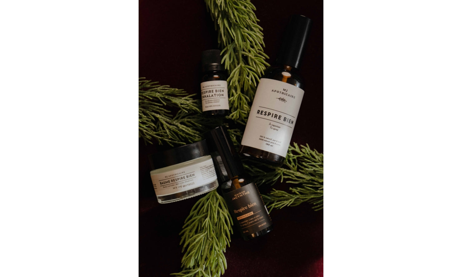 Lettre de Jacynthe - 10 octobre 2025