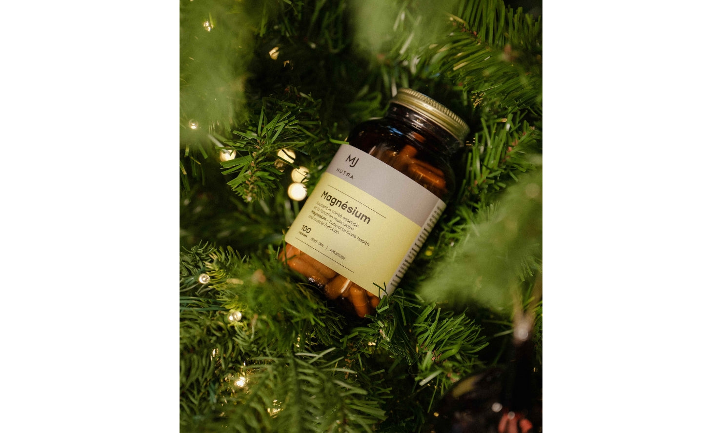 Lettre de Jacynthe - 20 novembre 2025