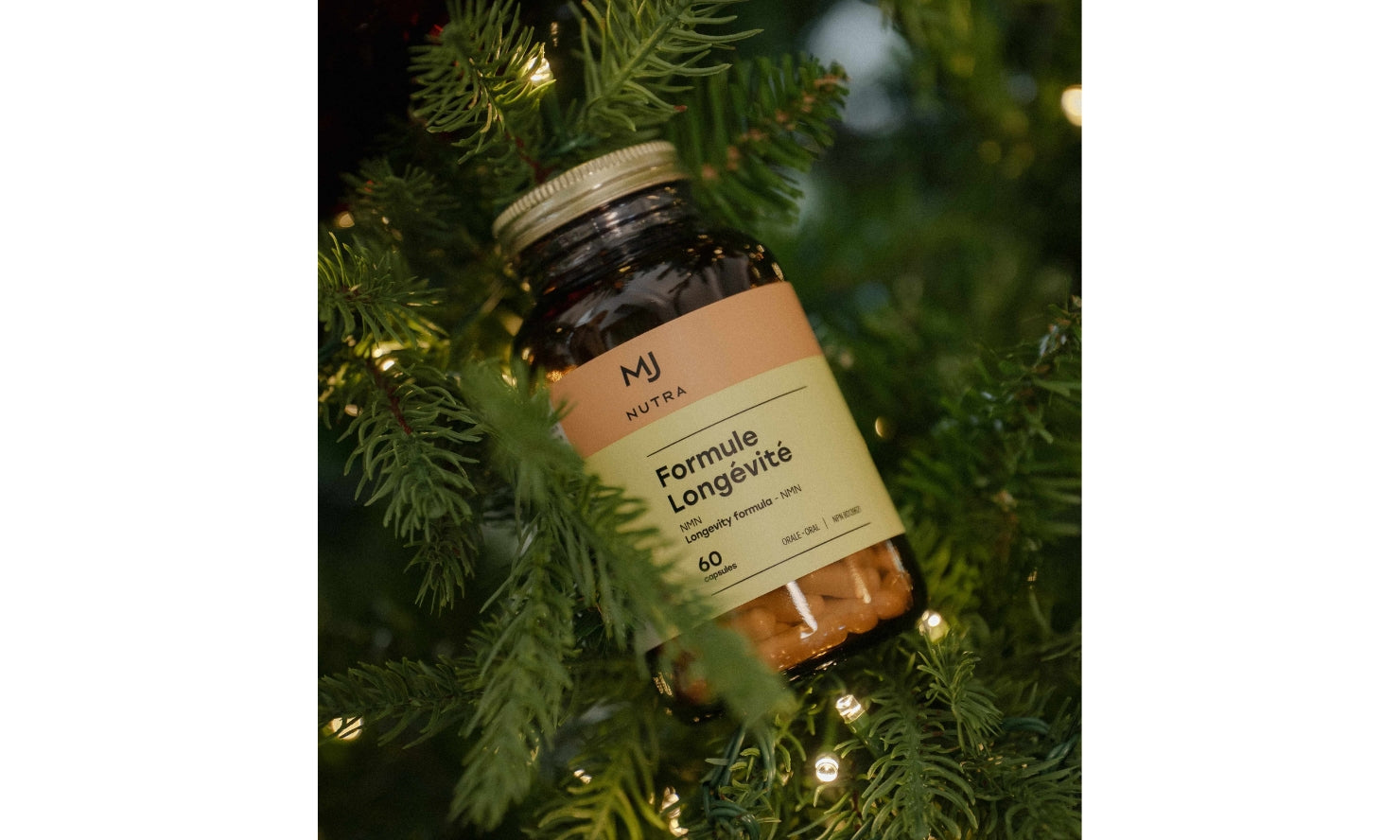 Lettre de Jacynthe - 3 novembre 2025