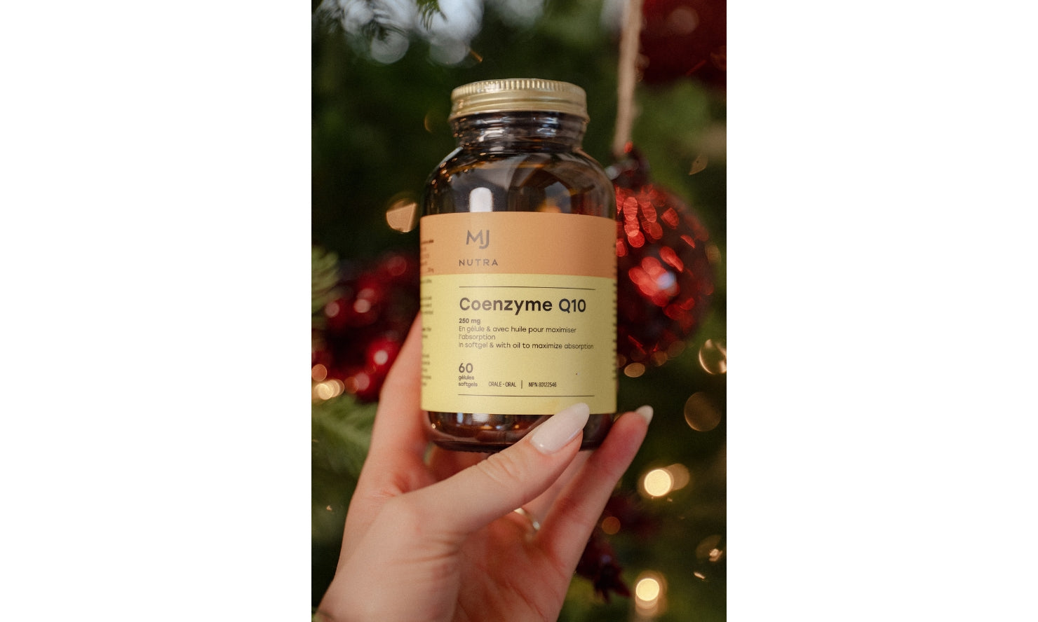 Lettre de Jacynthe - 4 novembre 2025