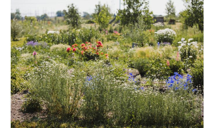 Sac végane et souci de l’environnement, est-ce compatible?