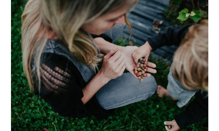 Vive web - Saison 2 - Épisode 2