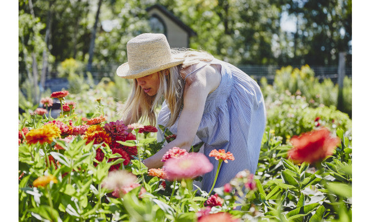 L'alimentation déficiente en minéraux