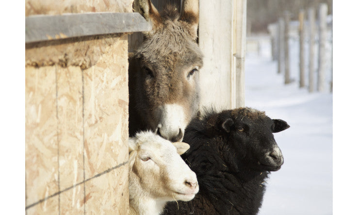 Vive web saison 3 épisode 7