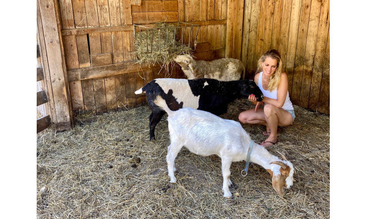 Nouveautés : L'ayurvédique & consultation virtuelle!