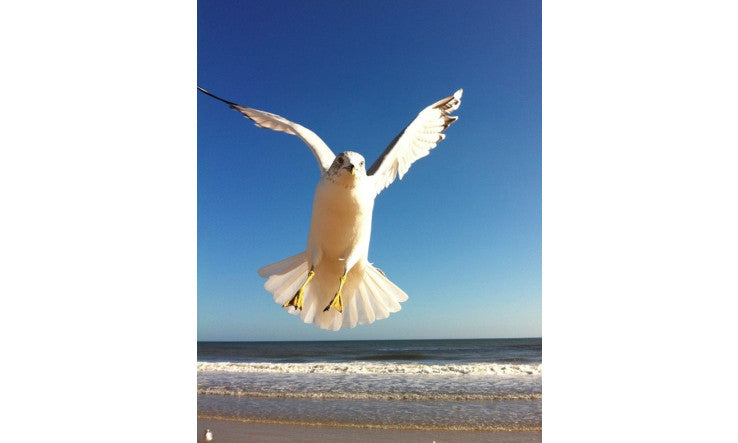 Arthrose rhumatoide, des inspirations pour soulager