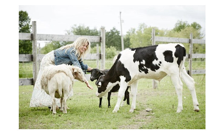 Soutien pour la stéatose hépatique non alcoolique
