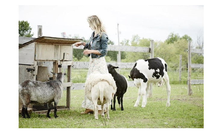 Dégénérescence maculaire