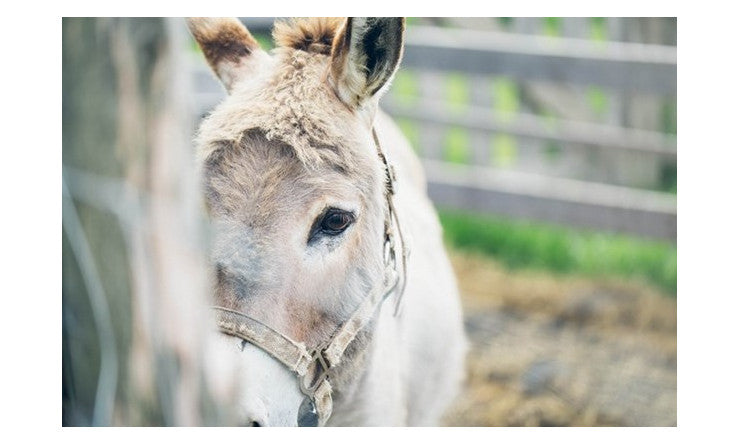 Le pouvoir transformateur de l'auto-compassion dans les épreuves