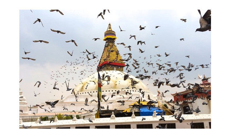 L’homéopathie pour soigner le corps et le coeur de népalais