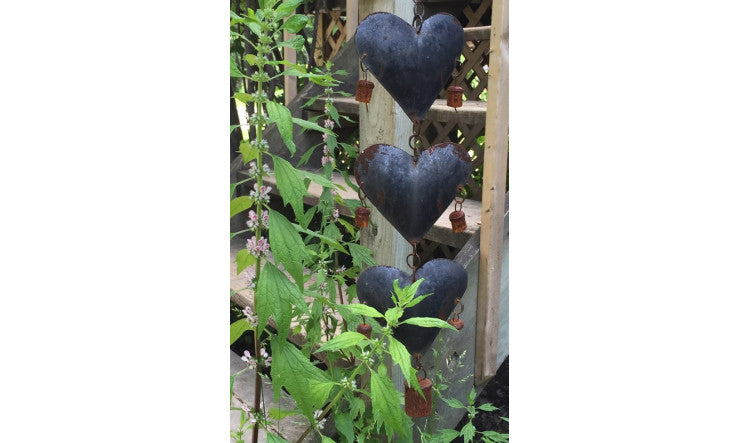 Équilibre hormonal et plantes médicinales