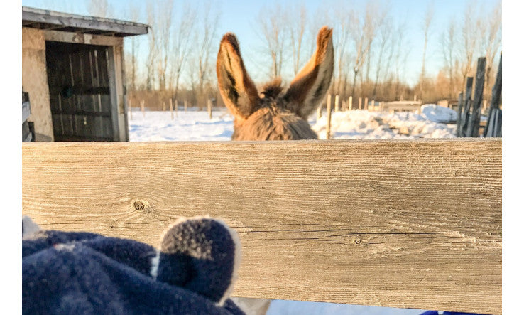 Je prends vos idées de sujets et d'invités pour Vive