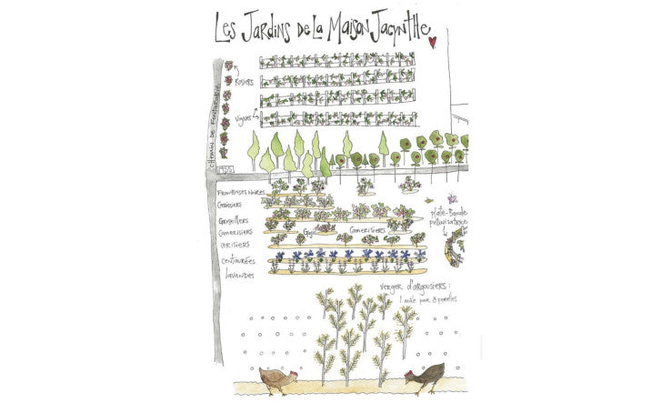 Créer son jardin fruitier