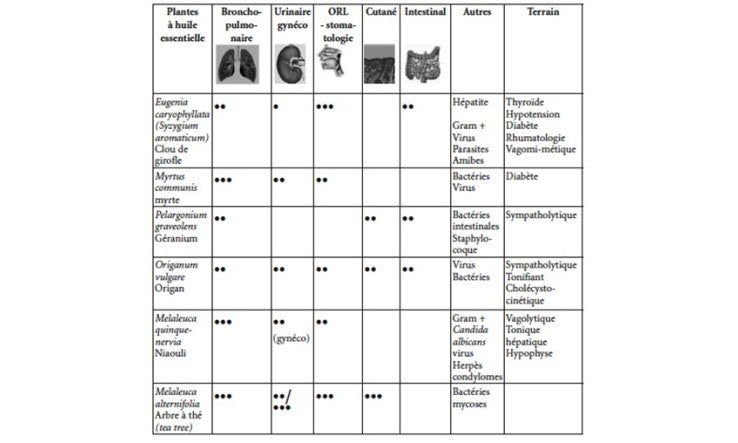 Recherches scientifiques des ingrédients choisis