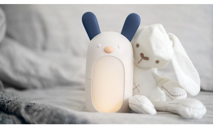 Diffuseur Maison Jacynthe